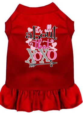 All About The Xoxo Screen Print Dog Dress Red Xxl