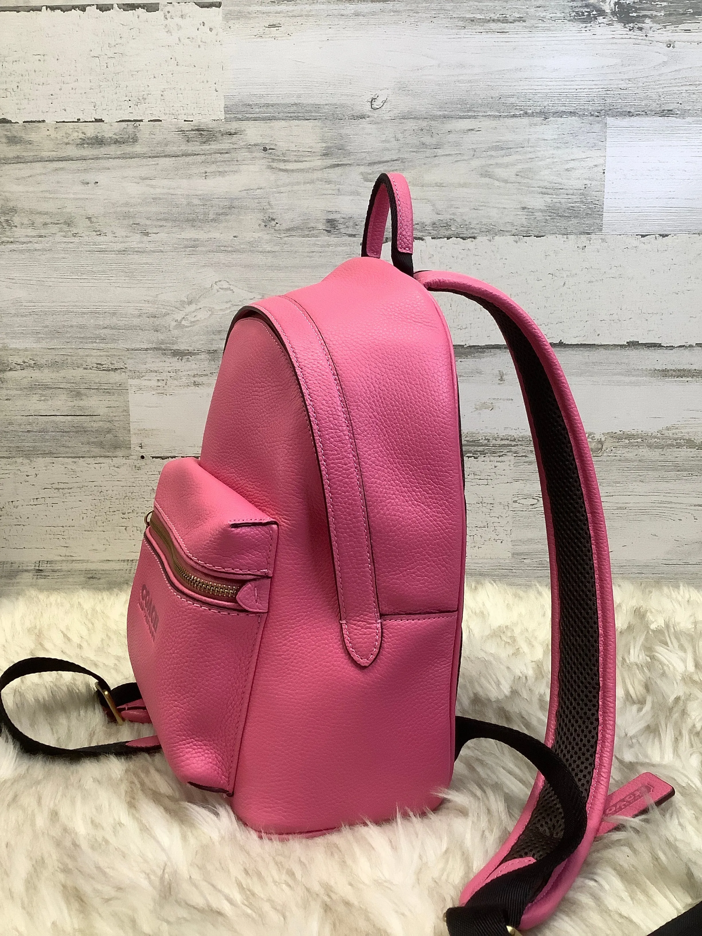 Backpack Designer By Coach  Size: Medium