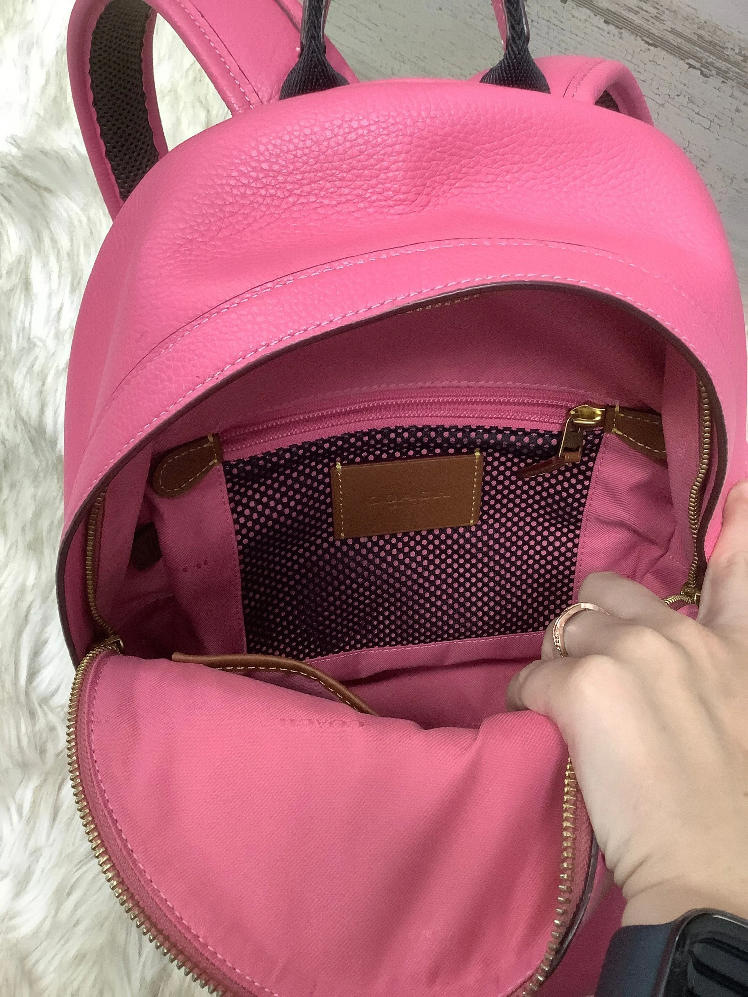 Backpack Designer By Coach  Size: Medium