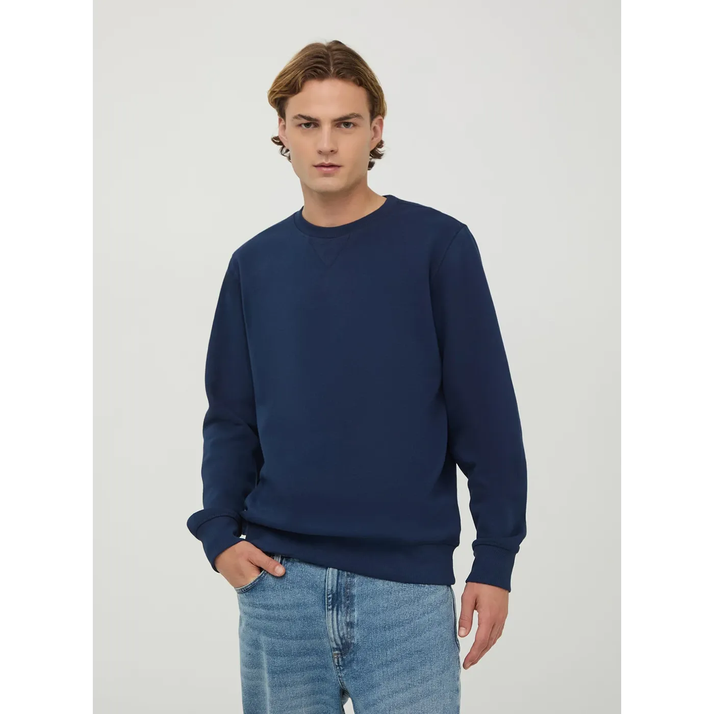 Blue Basic Regular Fit Sweatshirt