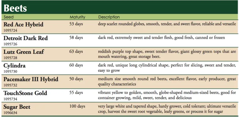 Sugar Beet Vegetable Seed