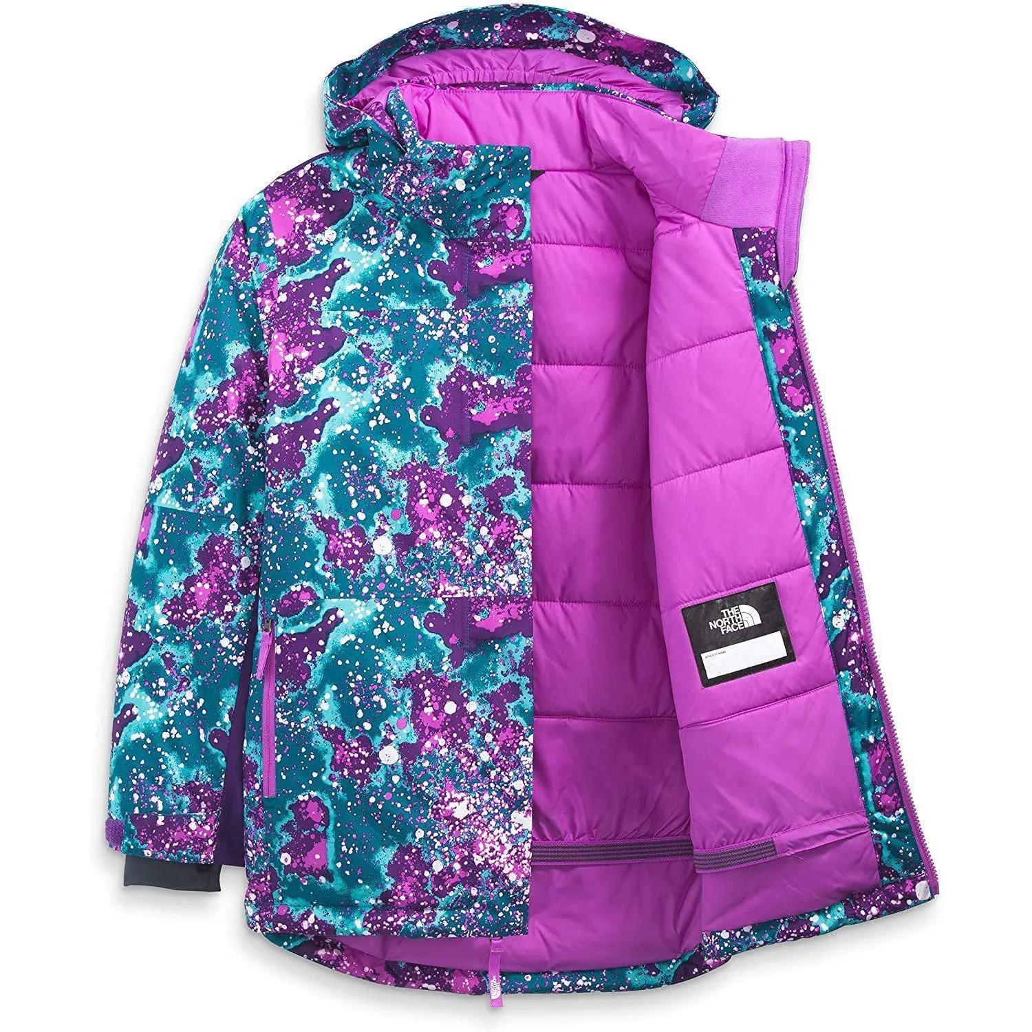 The North Face Boys' Freedom Insulated Jacket