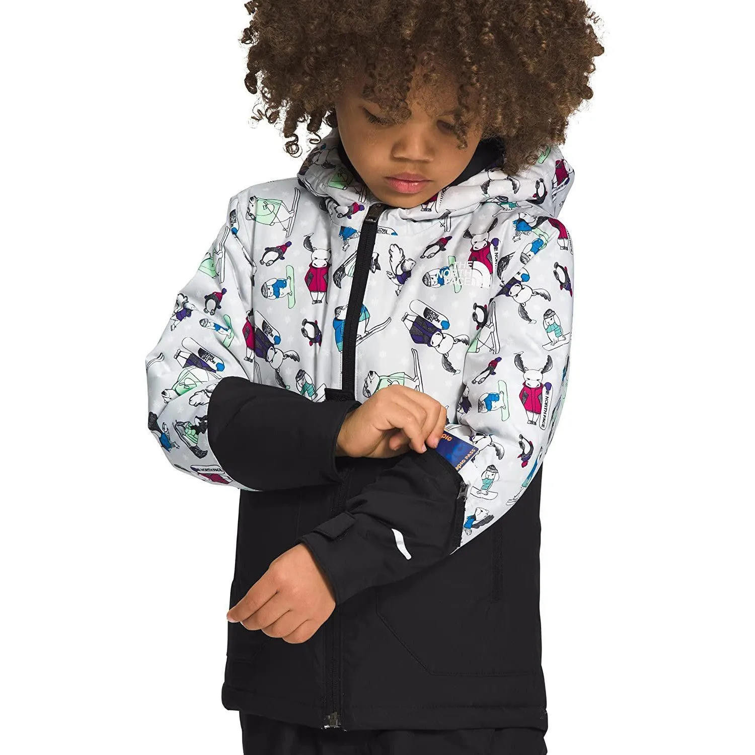 The North Face Boys' Freedom Insulated Jacket