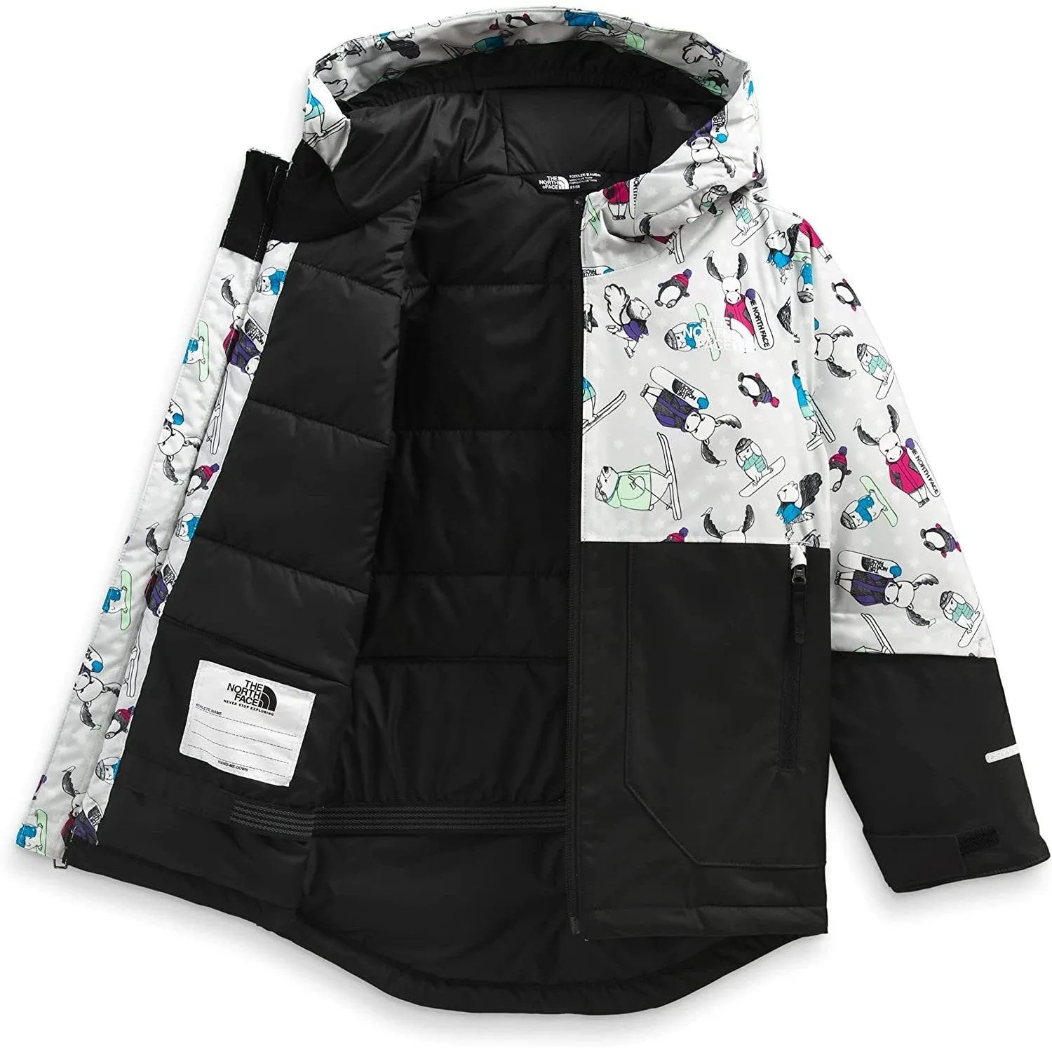 The North Face Boys' Freedom Insulated Jacket